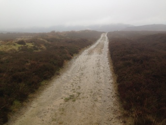 misty path