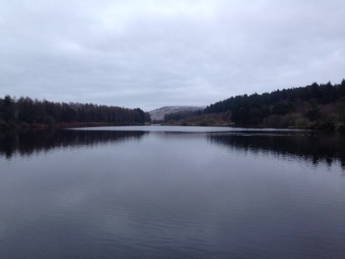 20151213_152554942_iOS